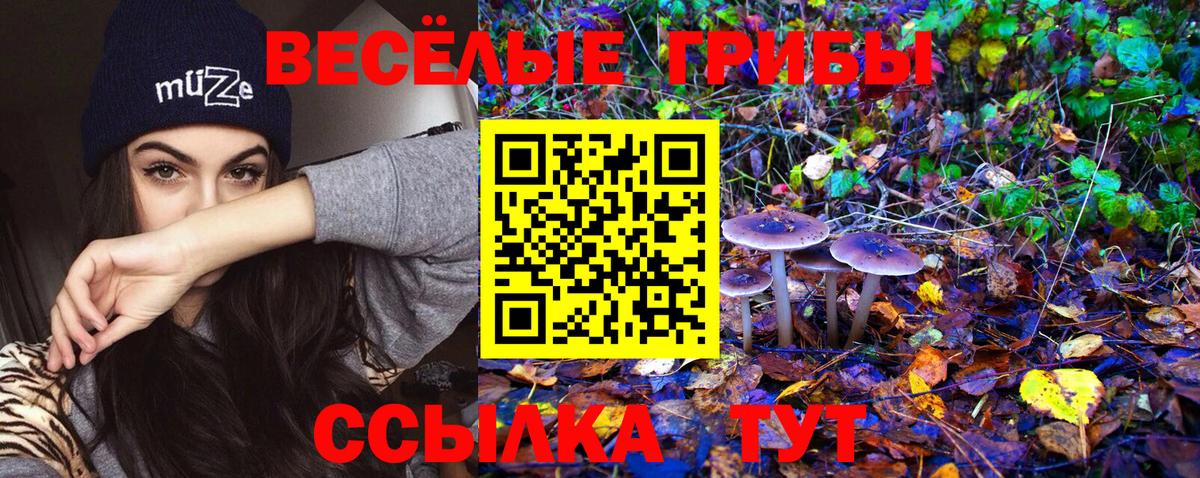 Псилоцибиновые грибы прущие грибы  Вход с VPN  Наро-Фоминск 